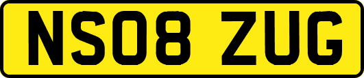 NS08ZUG