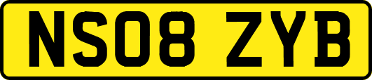 NS08ZYB