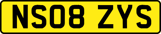 NS08ZYS
