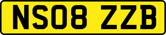 NS08ZZB