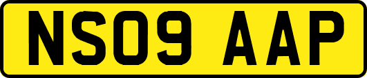 NS09AAP