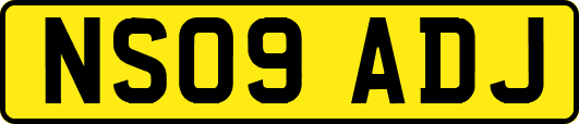 NS09ADJ