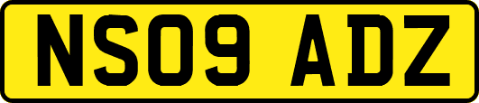 NS09ADZ