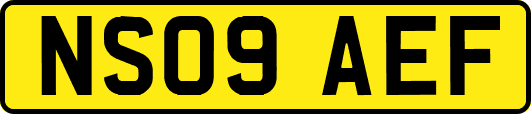 NS09AEF