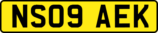 NS09AEK