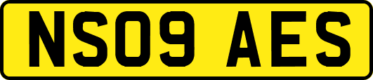 NS09AES