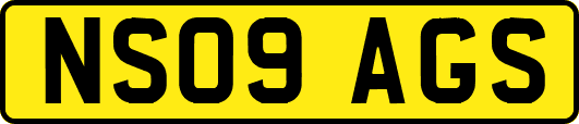 NS09AGS