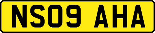 NS09AHA