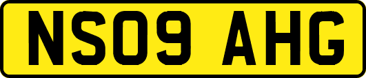 NS09AHG