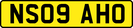 NS09AHO