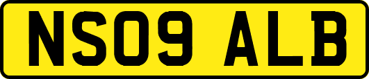 NS09ALB