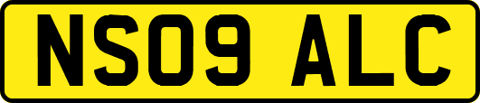 NS09ALC