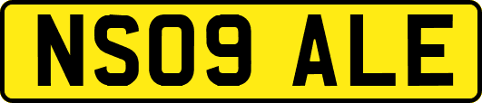 NS09ALE