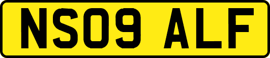 NS09ALF