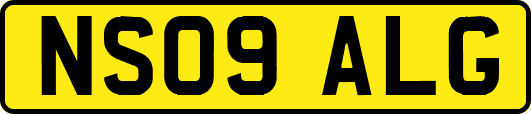 NS09ALG