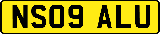 NS09ALU