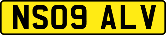 NS09ALV
