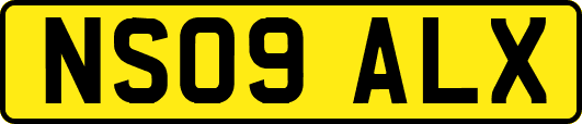 NS09ALX