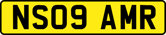 NS09AMR