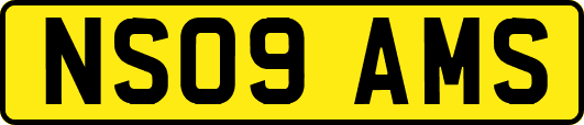 NS09AMS