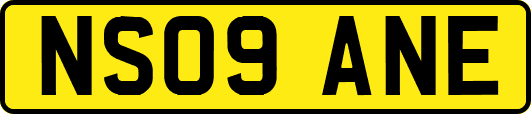 NS09ANE
