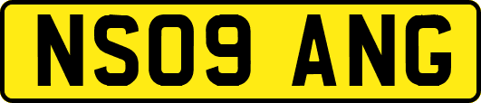 NS09ANG