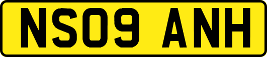 NS09ANH