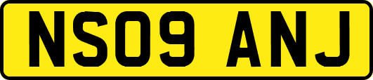 NS09ANJ