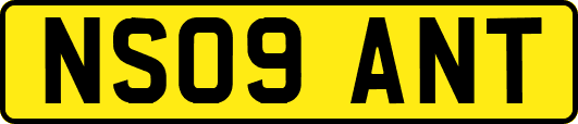 NS09ANT