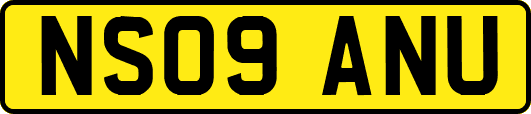 NS09ANU
