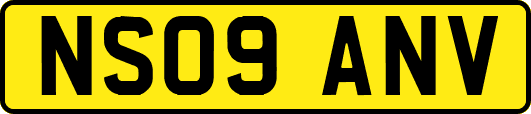 NS09ANV