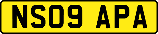 NS09APA
