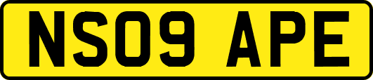 NS09APE
