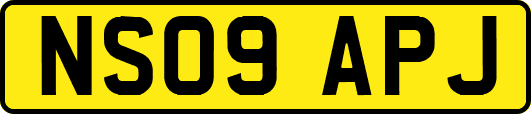 NS09APJ