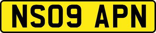 NS09APN