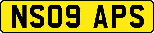 NS09APS