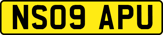 NS09APU
