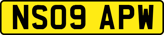 NS09APW