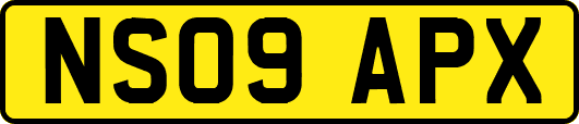 NS09APX