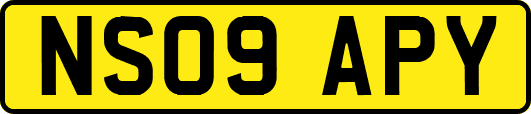 NS09APY