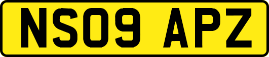 NS09APZ