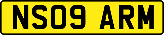 NS09ARM