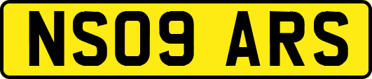 NS09ARS