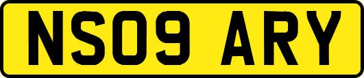 NS09ARY
