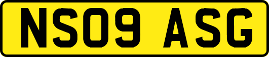NS09ASG