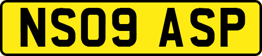 NS09ASP
