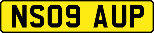 NS09AUP