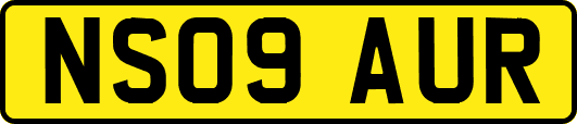 NS09AUR