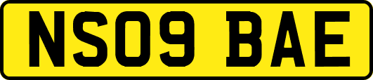 NS09BAE
