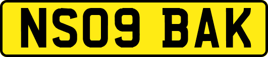 NS09BAK